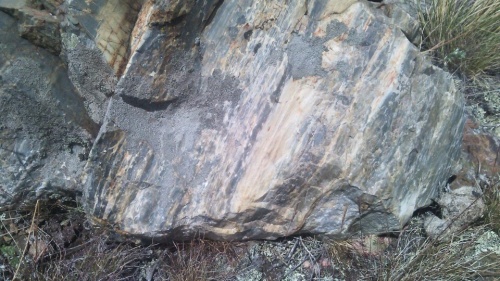 Гигантские зелёные валуны для ландшафтного дизайна весом более 5 тонн купить в Алапаевске