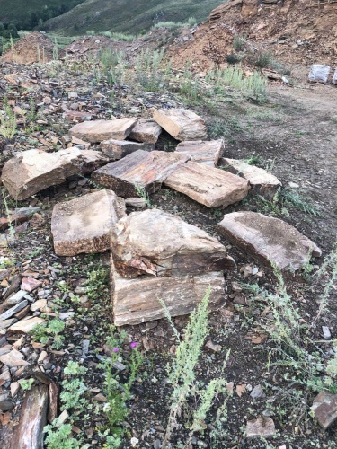 Плитняк кора дерева 50-100мм для пошаговых дорожек купить в Алапаевске